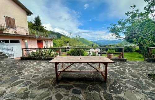 Azienda Agrituristica Il Cerreto - Foto 19