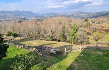 Casa Lisboana - Foto 22