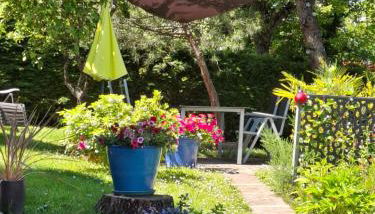 La chênaie - Foto 2