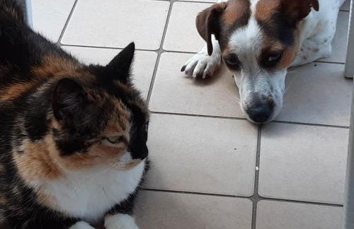 La Casa di Pamy - Foto 63