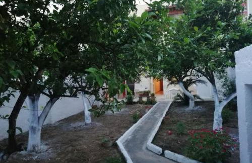 CASA NONNA LUCIA nel cuore del Salento - Foto 18