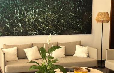 Apartamentos Llobet Ibiza - Foto 7