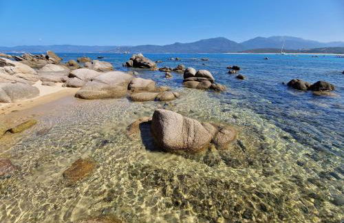 Chalet in Propriano Near Sandy Beaches - Foto 42