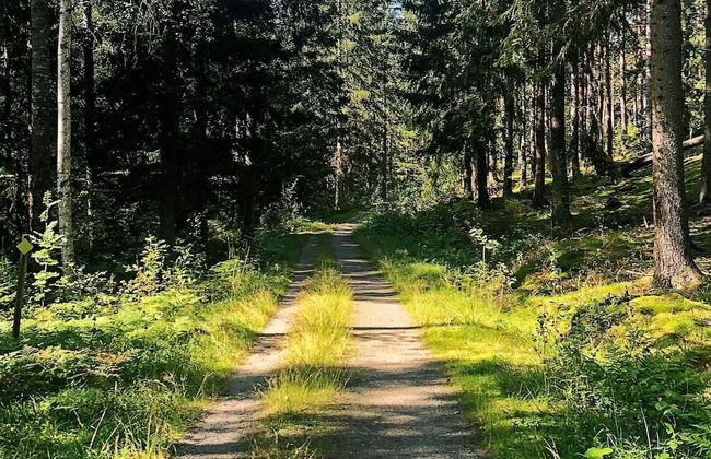 4 Person Holiday Home in Sodertalje-by Traum - Photo 12