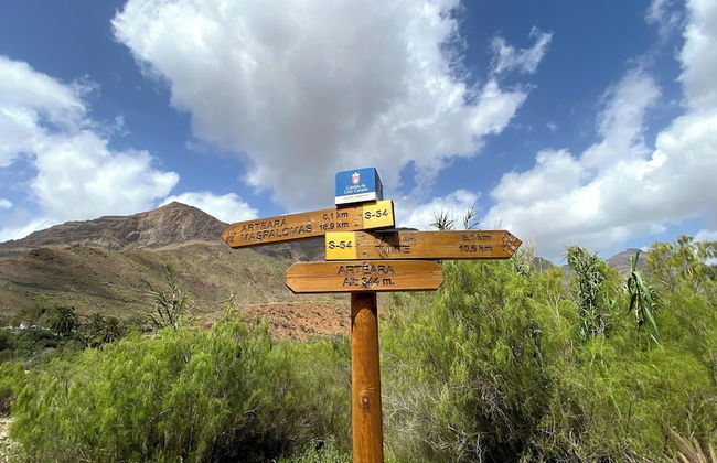 Renovated Tiny House in the Country Near Fataga - Photo 37