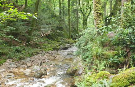 Family Suites & Parking - Foto 50