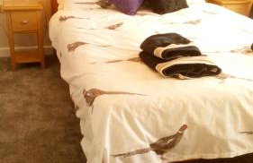 Haddington George House - Foto 12