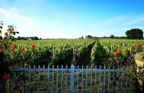 LA MAISON DES VIGNES SAINT EMILION - Foto 58
