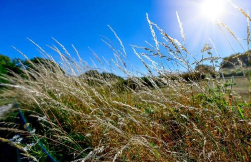 Cosy Rural 2 Bed Barn conversion close to Beach - Pass the Keys - Foto 61