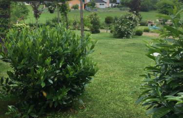 Eifel-Moezelhuis - Foto 44