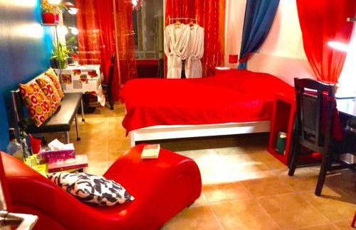 Les Meublés les Dômes du Parc - Photo 22