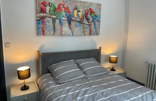 Duplex rénové quartier plage - Foto 8