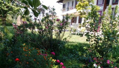 Cascina Linét - Foto 5, Garden