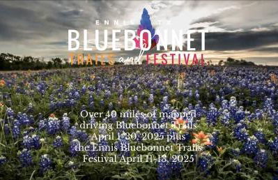 Restored Beautiful Airstream Fully Equipped with Incredible Outdoor Living in Texas - Foto 24