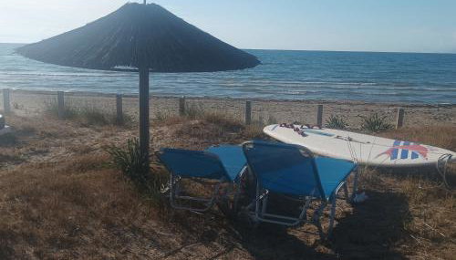 Kyllini am Meer relaxen mit Hund - Foto 4