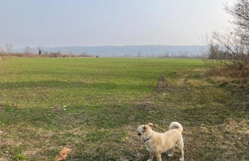 Appartamento La Bussola - Foto 16