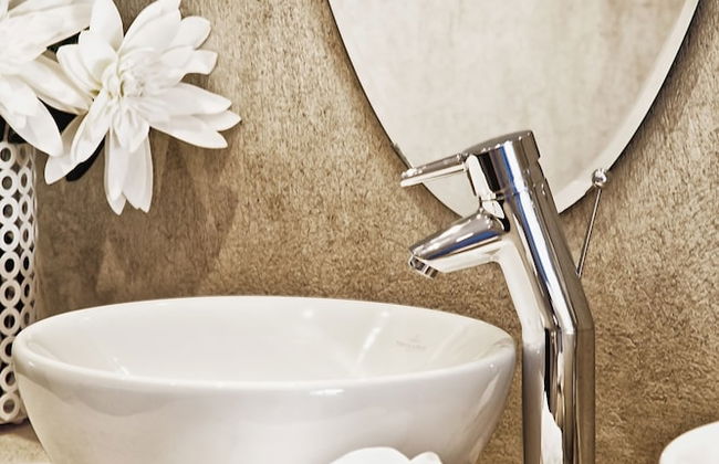 Golden King - Foto 37