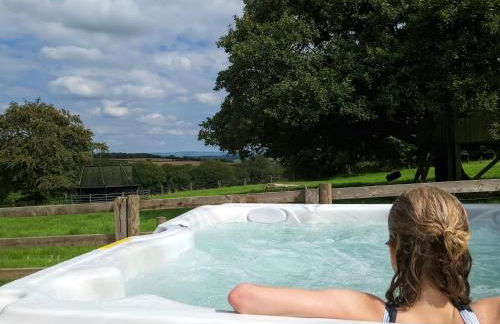 Barn End Cottage - Foto 45