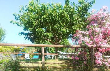 Casale Mansano - Natura e relax nelle colline - Photo 8