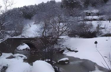 Casa Johana - Foto 34