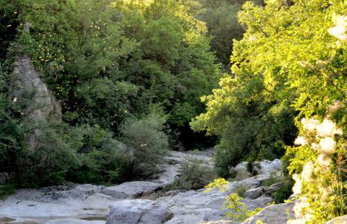 Holiday Home Steinhaus Kotli by Interhome - Foto 33