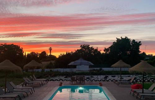 Herdade Da Maridona - Agroturismo - Foto 67