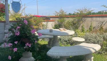 Ai ciliegi - Photo 4