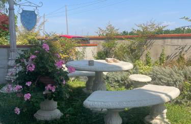 Ai ciliegi - Photo 4