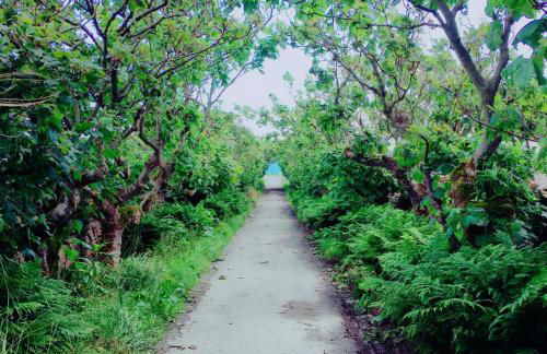 Quoys Self Catering - Foto 50