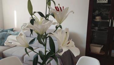 Apartament Rodzinny Przy AquaParku - Foto 3