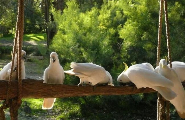 The Burrow At Wombat Bend - Foto 43