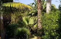 La Casita de la Vega - Foto 69