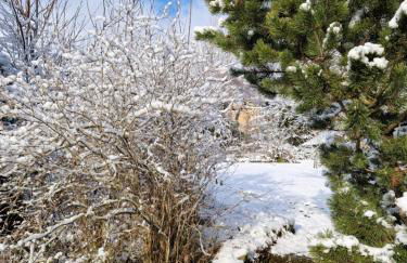 Magisches Wachstein - Foto 79