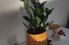 ruhige Sout. Whg. Feldrandnähe - Foto 1