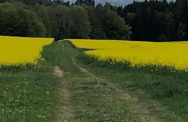 Ferienwohnung Schlesinger - Foto 10
