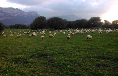 Vistamare - Photo 73