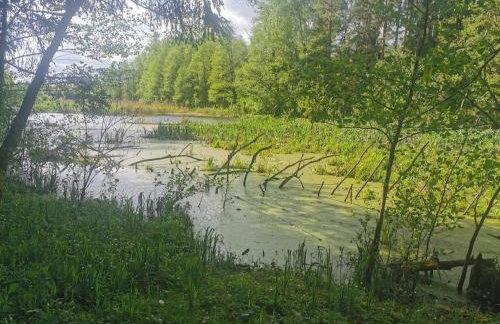 Przystan Ramotowo - Foto 14