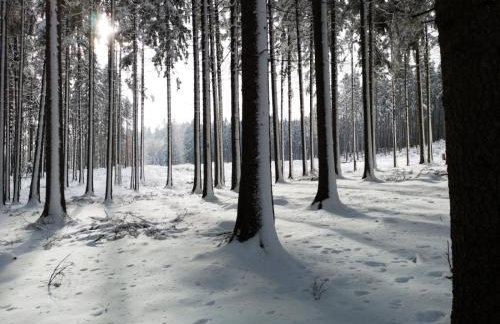 Ferienhaus Jägerhaus Oppach Privathaus - Foto 54