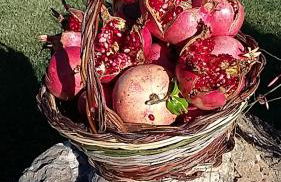 Agriturismo Valiana - Foto 55