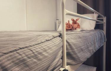 Alexander Apartments Nea Koutali - Foto 11