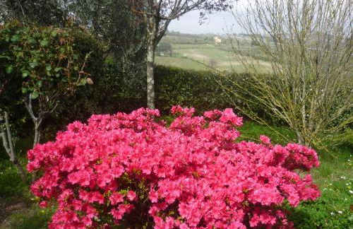 Complesso colonico Pogginano - Foto 19