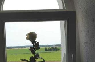 Mühlenurlaub Südheide - Foto 30