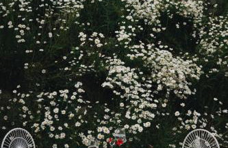 Two unique cabins wrapped in beautiful welsh scenery - Foto 24