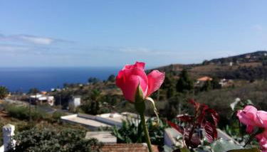 Vivienda vacacional La Graja - Foto 2, Garden view