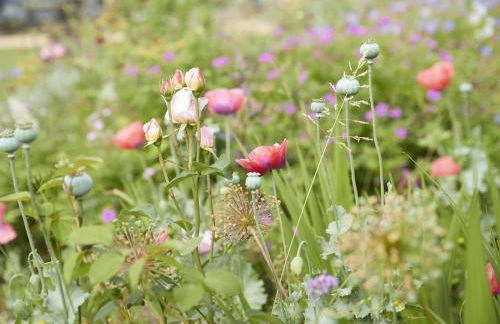 The Dairy Worcestershire - Foto 21