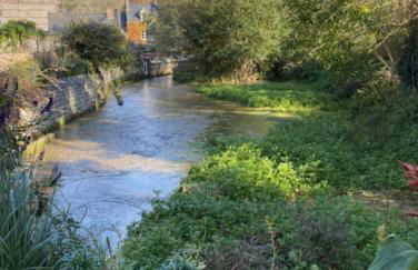 Les Volets Bleus de Veules Les Roses - Foto 70