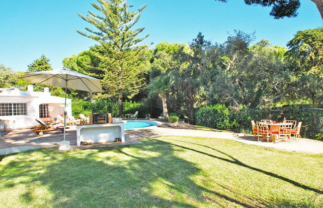 Villa AlGharif - Photo 67