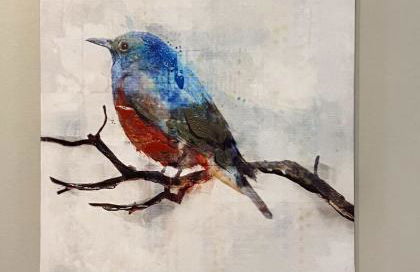 Dedo Days Retreat - Foto 50