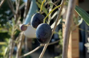 L'échappée créative - Foto 15