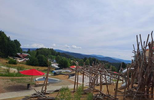 Traumblick Bayerischer Wald, Pool & Sauna, Getränke, Klimaanlage - Foto 31